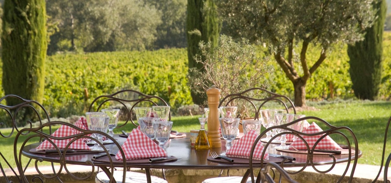 Dinner with vineyards view